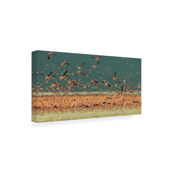 David Hua 'Gathering In Golden Light' Canvas Art,12x24